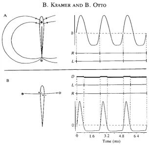 Fig. 9. (A,B) Schematic representation of T-electroreceptor responses to electricorgan discharges (EOD)