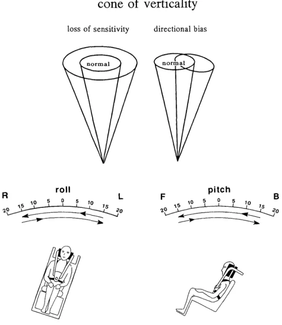 Fig. 1 Schematic drawing illustrating the method used to investigate the SPV in roll and pitch planes (bottom)
