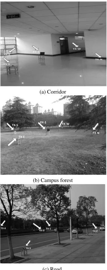 Fig. 3. Experimental scenes