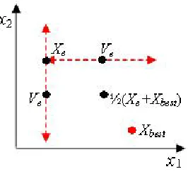 Fig. 1. Evolution process of a solution according to Eq.(9).