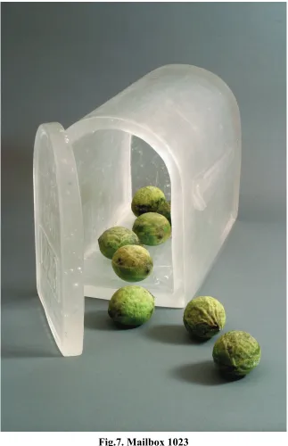Fig.7. Mailbox 1023 