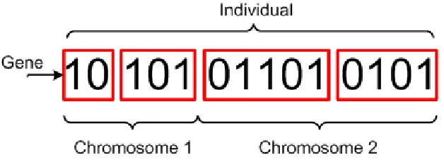 Figure 2.3: Example binary encoded individual [9]