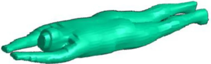 Fig. 2. Model of Male BMI 30 in Prone position 