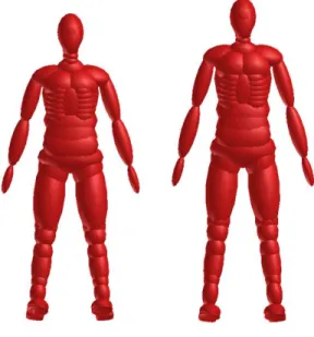 Fig. 11 shows the standard male dummy model and height-modified model. 