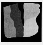 Figure 4.4: Initial state of the simulation field.