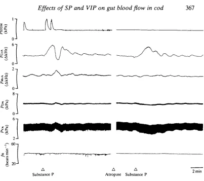 Fig. 3. Recording showing the effect of substance (lOOpmolkg lpressure) on the intragastric (FSTOM), coeliac artery blood flow (FCOA), mesenteric artery blood flow(FMCA), dorsal aortic blood pressure (PDA), ventral aortic blood pressure (PVA) andheart rate (/H) before and after treatment with atropine (1