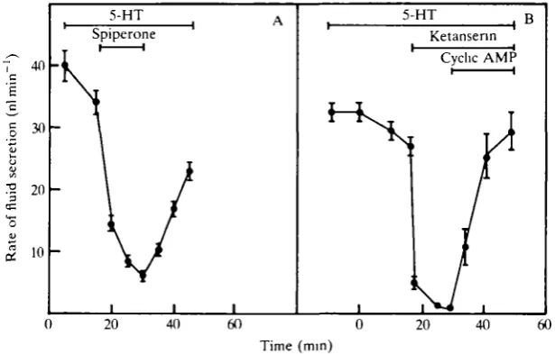 Fig. 3. Reversibility of 5-HT antagonist action. Bars indicate duration of eachtreatment