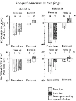 Fig. 8. Means and standard deviations of peak values of major force componentsgenerated byforce platform located in the middle of a vertically oriented Perspex runway