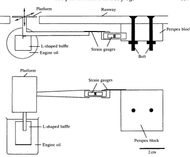Fig. 1. The force platform used to measure forces generated by climbing tree frogs.The upper drawing shows the force platform, which was constructed of light plasticmaterials viewed from above, the lower drawing the platform viewed from in front withthe runway omitted for clarity.
