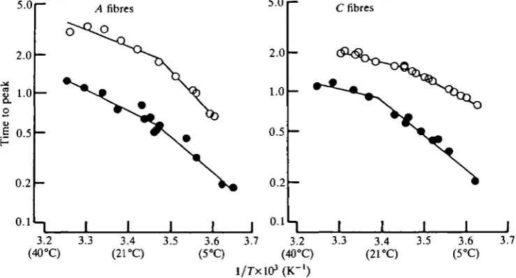 Fig. 4. Examples of Arrhenius plots of the reciprocal time- to peak-compound actionpotential for individual nerve trunks