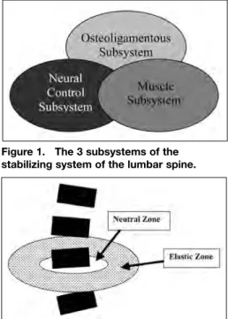 Figure 2.  Intervertebral movement: 
