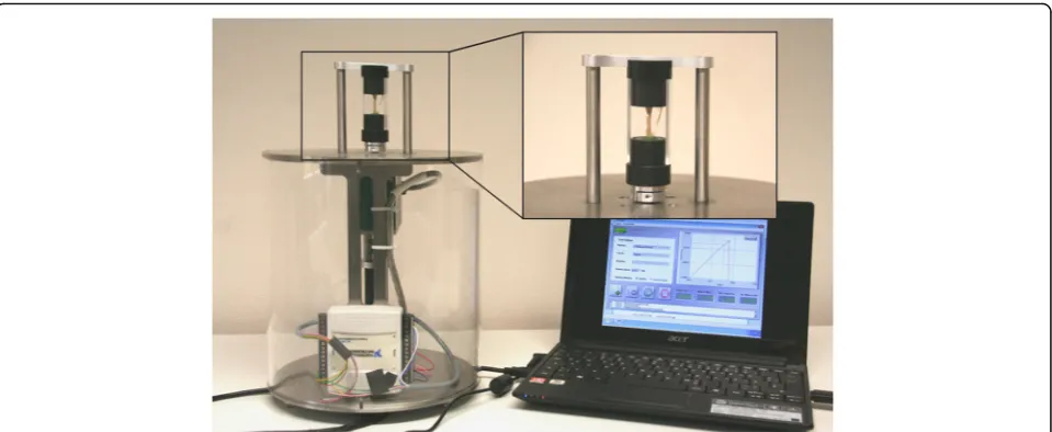 Fig. 1 Biomechanical torsional testing machine with bone segment fixed in vertical direction by two embedding molds (detail view)