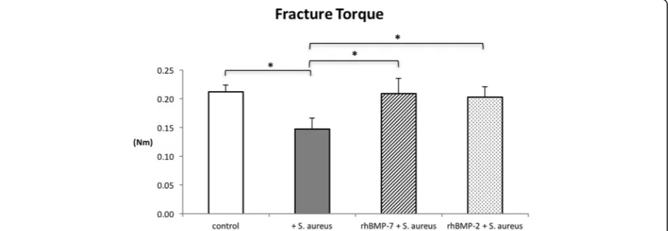 Fig. 2 Mechanical testing results of the tibiae: the re-fracture torque (Nm) is significantly lower in the infected control group than in the otherthree groups at the endpoint