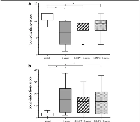 Fig. 4 Outcome of (adapted from An & Friedman with seven characteristic parameters for a maximal score of 47 points