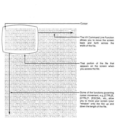 Fig. 1.2 The VEJiI Program, and what appears on your tenninal screen 