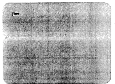 Fig. 1.3 The screen when you access a newly created file 