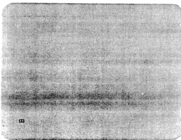 Fig. 1.6 The VEW function line 