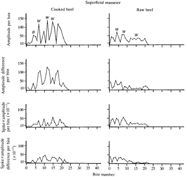 Fig. 3. Graphs for the superficial masseter of cat 1 masticating cooked and raw beef.Conventions as in Fig