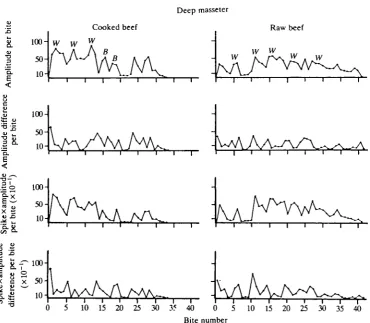 Fig. 4. Graphs for the deep masseter of cat 1 masticating cooked and raw beef.Conventions as in Fig
