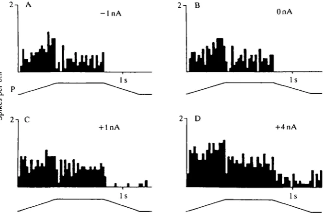 Fig. 4. Modulation of the resistance reflex in the SETi motoneurone during ChOstimulation by injection of current into the nonspiking interneurone shown in Fig