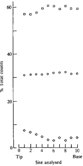Fig. 12. Linear correlation of iron and calcium counts (edXa) from the cuticular layer(lingual edge) of the tooth cap; r = -0.97, P<0.001.