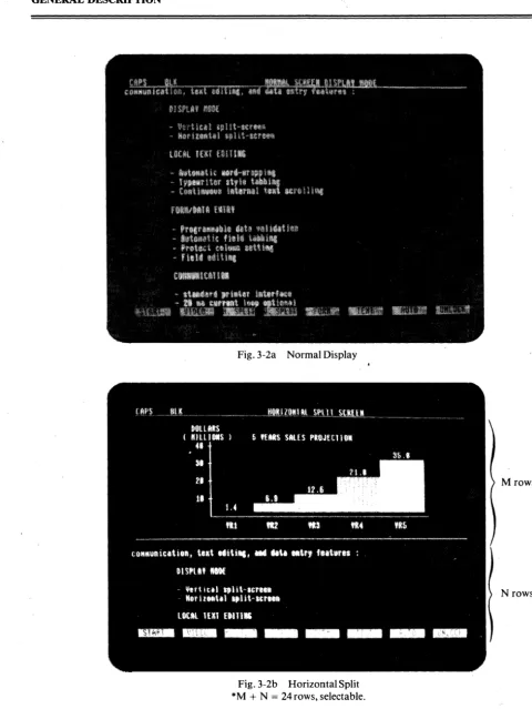 Fig.3-2a Normal Display 