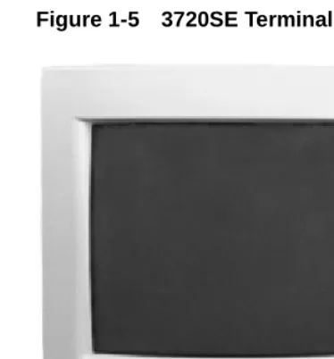 Figure 1-53720SE Terminal