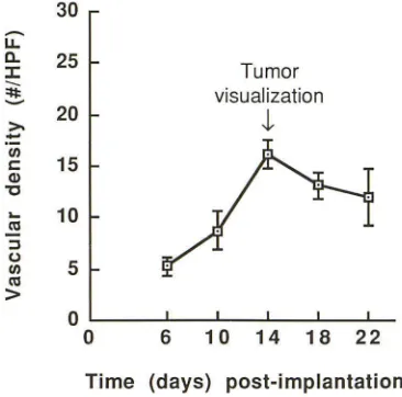 TABLE 3: Angiogenesis and Breakdown of the Blood-Brain Barrier as Causes of Contrast Enhancement in Tumor-Implanted Rabbits 