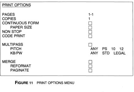 FIGURE 11 PRINT OPTIONS MENU 