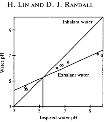 Fig. 7. The relationship between pH of exhalant water (O) and inhalant water ofrainbow trout