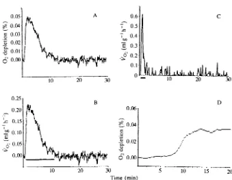 Fig. 1. (A) The pattern of O2 depletion in the outflow of the open-circuit metabolicchamber containing a hibernatingsection of the curve integrated to calculate total Owashout curve