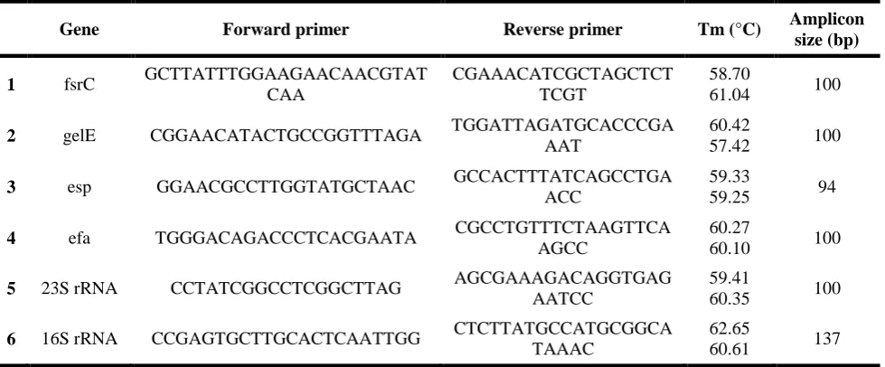 Table 1. Primer sequences of the genes related to Enterococcus faecalis (E.faecalis) virulence factors 