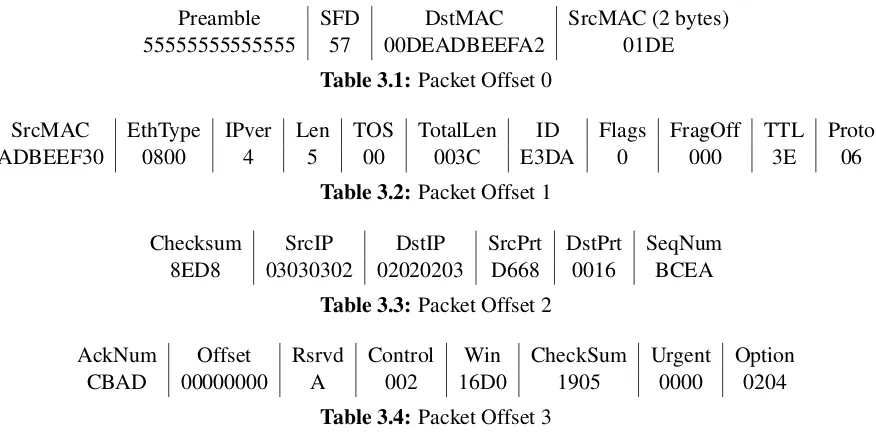 Table 3.1: Packet Offset 0