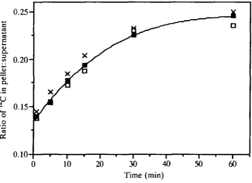 Fig. 1. Time course of 14C uptake by toadfish hepatocytes exposed to [14C]Hepes in atotal [Hepes] of lOmmoll"1