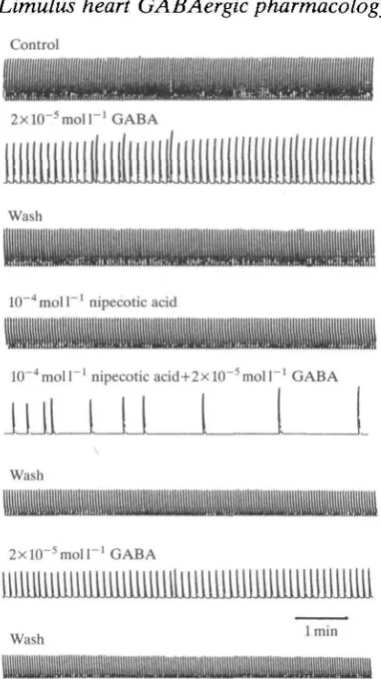 Fig. 4. Chart records showing the enhancement of the GABA-induced decrease inheart beat frequency by nipecotic acid