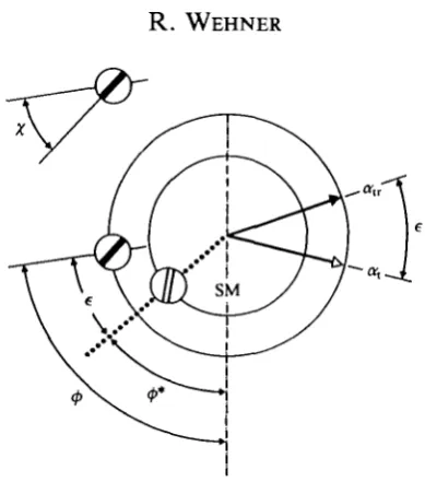 Fig. 2. How to derive the insect's internal e-vectorcorrelation between map from the navigational errorsobserved under the experimental conditions outlined in the text
