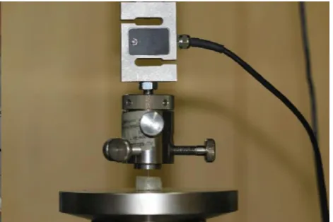 Fig. 3: Push-out test 