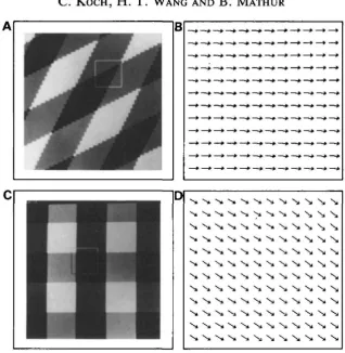 Fig. 4. Additional coherent plaid experiments. (A) Two gratings moving towards thelower right (one at —26° and one at —64°), the first moving at twice the speed of theflow (D) is biased towards the direction of motion of the vertical grating, in agreementw
