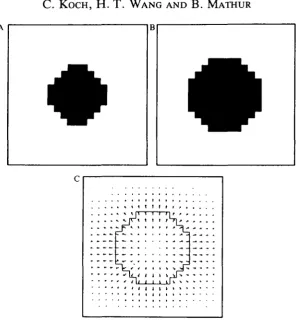 Fig. 6. Motion in depth. (A,B) Two images, featuring an approaching circularstructure, expanding byviolates the constraint underlying our algorithm, the network finds the qualitatively 1 pixel in every direction