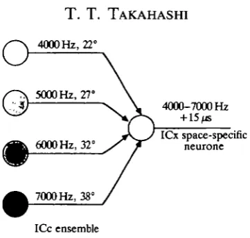 Fig. 5. Extraction of interaural time difference from interaural phase difference.Space-specific neurones are broadly tuned for frequency but are selective for a singleITD; 15 fjs for the one depicted