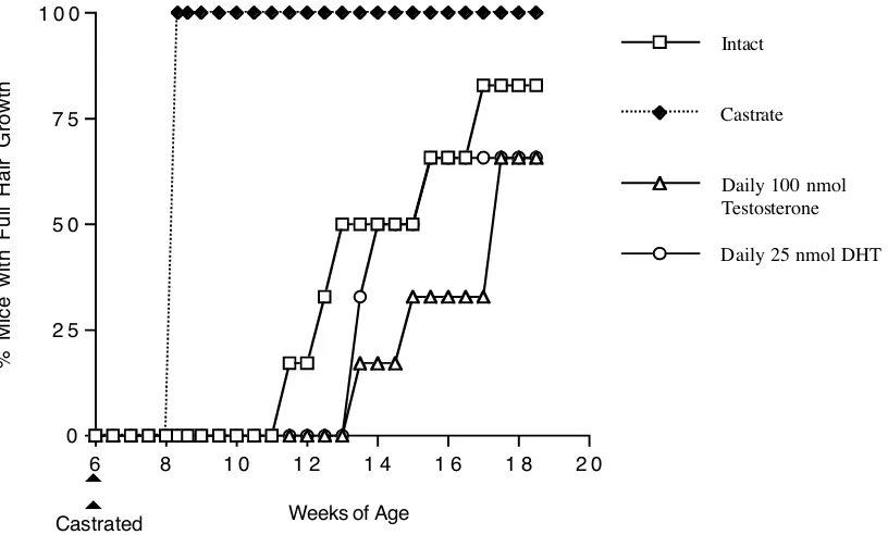 Figure 2.3.  Daily topical testosterone or DHT treament is required toreverse the effects of castration.