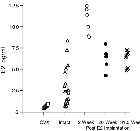 Figure 3. 2.  Serum 17β-estradiol ranges for OVX, and intact female mice, sacrificedat 26 weeks of promotion, and E2 implanted OVX female mice sacrificed at 2 weeks,