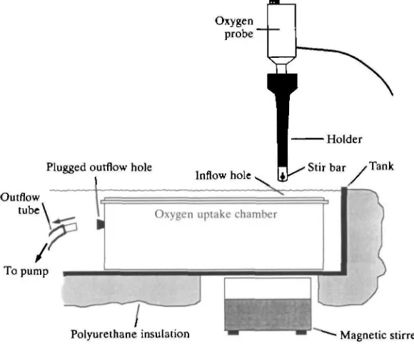 Fig. 1. A schematic diagram of the equipment used to conduct oxygen uptakemeasurements