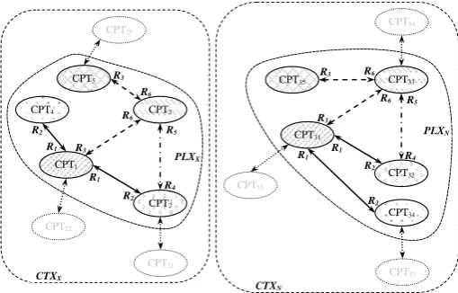 Fig. 3. Association plexuses PLXX and PLXN are topologically analogous 