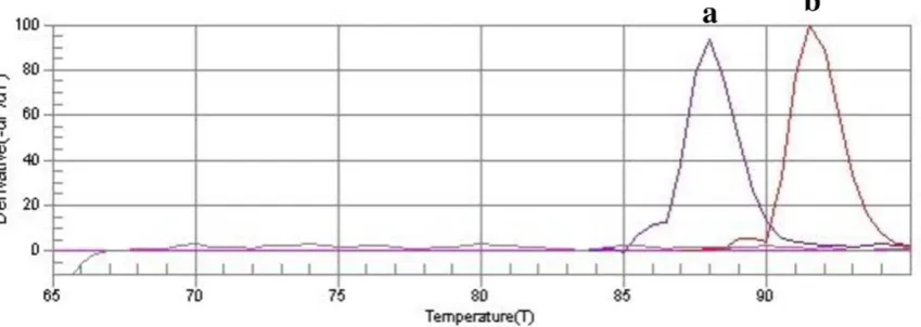 Fig. 3: The melting curve profiles generated by real-time amplification to assess potential primer-dimer artifacts (or non-specific PCR product)