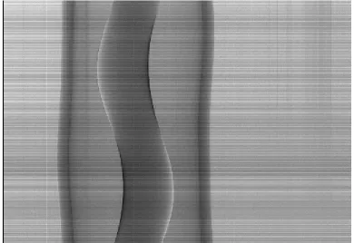 Fig R. 1.2  Raw tomography data of Lucite phantom B at lower side of the rocking  curve