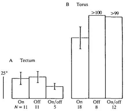 Fig. 4. Receptive field size distinguished by the response sign of units in the tectum(A) and the torus (B)
