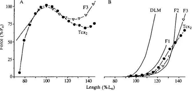 Fig. 8. Active and passive force as a function of muscle length. (A) Total tensionduring a tetanic contraction in a locust wing muscle (Tcx2) and a frog sartorius muscle(F3)
