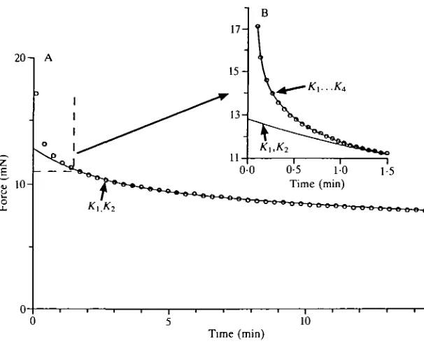 Fig. 2. Stress relaxation for a muscle stretched to, and held at, 110% of the normalin vivo length