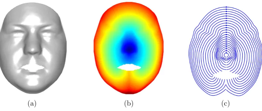 Figure 3.1: (a) Smoothed 3D face (b) Geodesic Distance Function (c) Iso-curves,starting point is marked on each curve